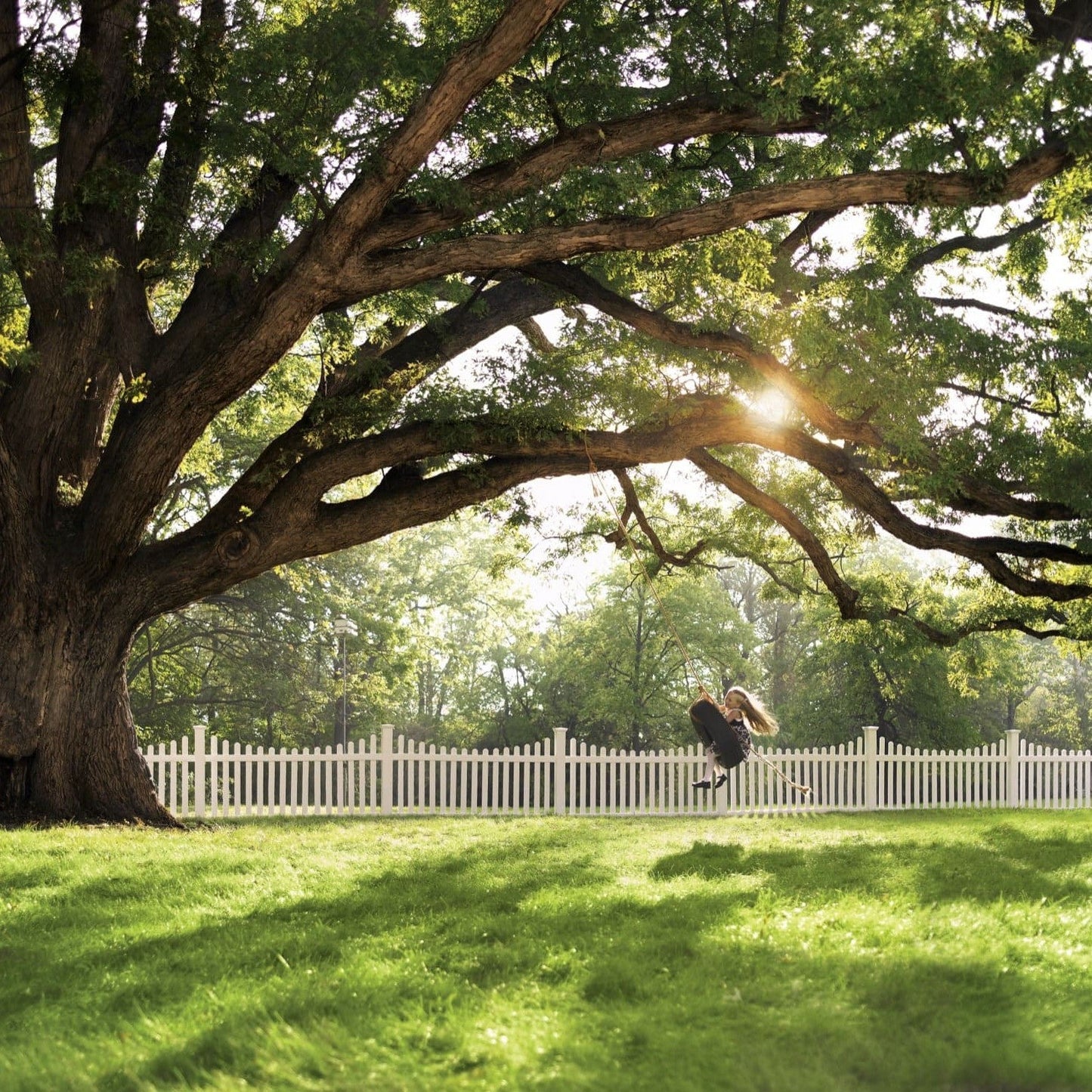 Silverbell Scallop Haven Series - Fence Panel - 4' x 8' - ActiveYards - White