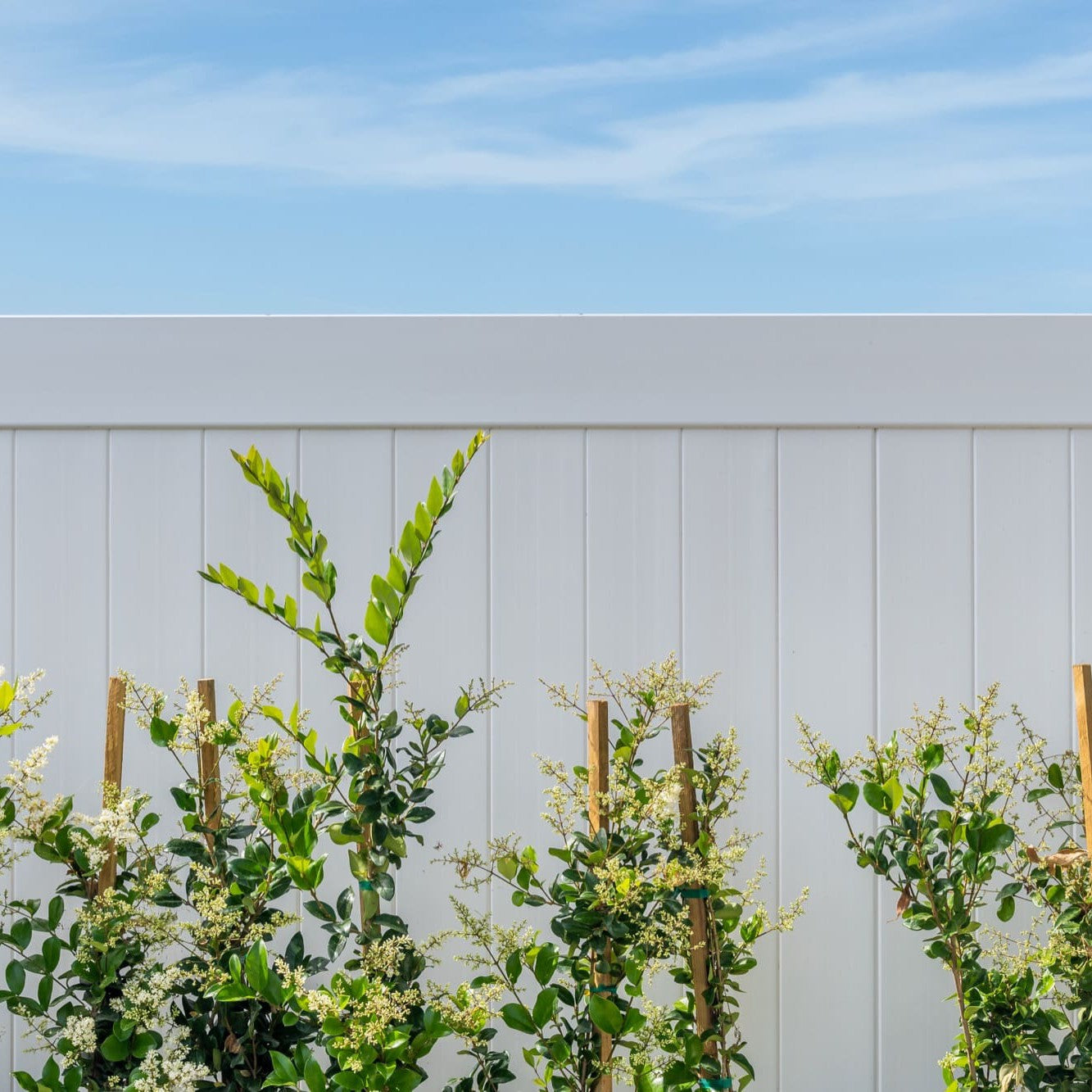 Dogwood Home Series - Fence Panel - 6' x 8' - ActiveYards -