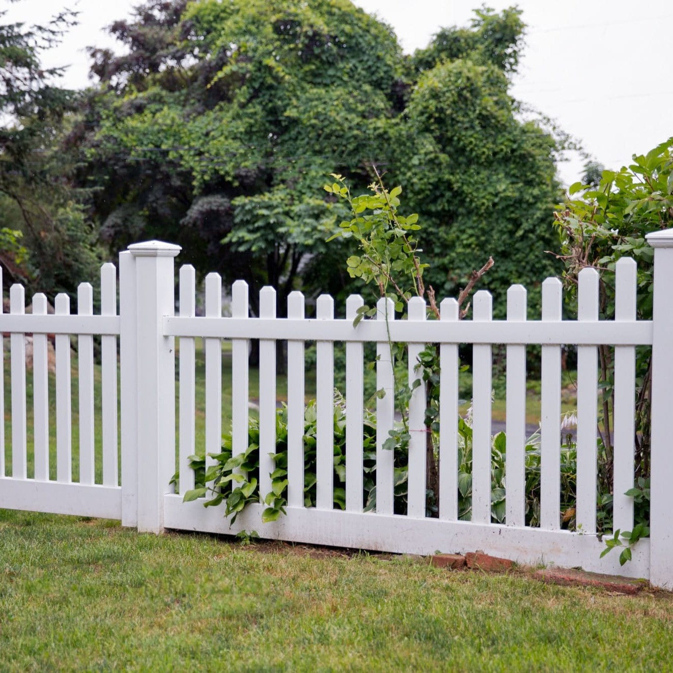 Silverbell Scallop Haven Series - Fence Panel - 4' x 8' - ActiveYards - White